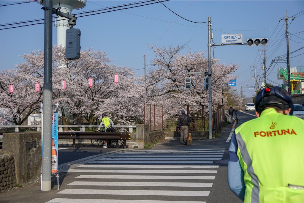 f:id:des_esseintes:20180402133855j:image f:id:des_esseintes:20180402133855j:image