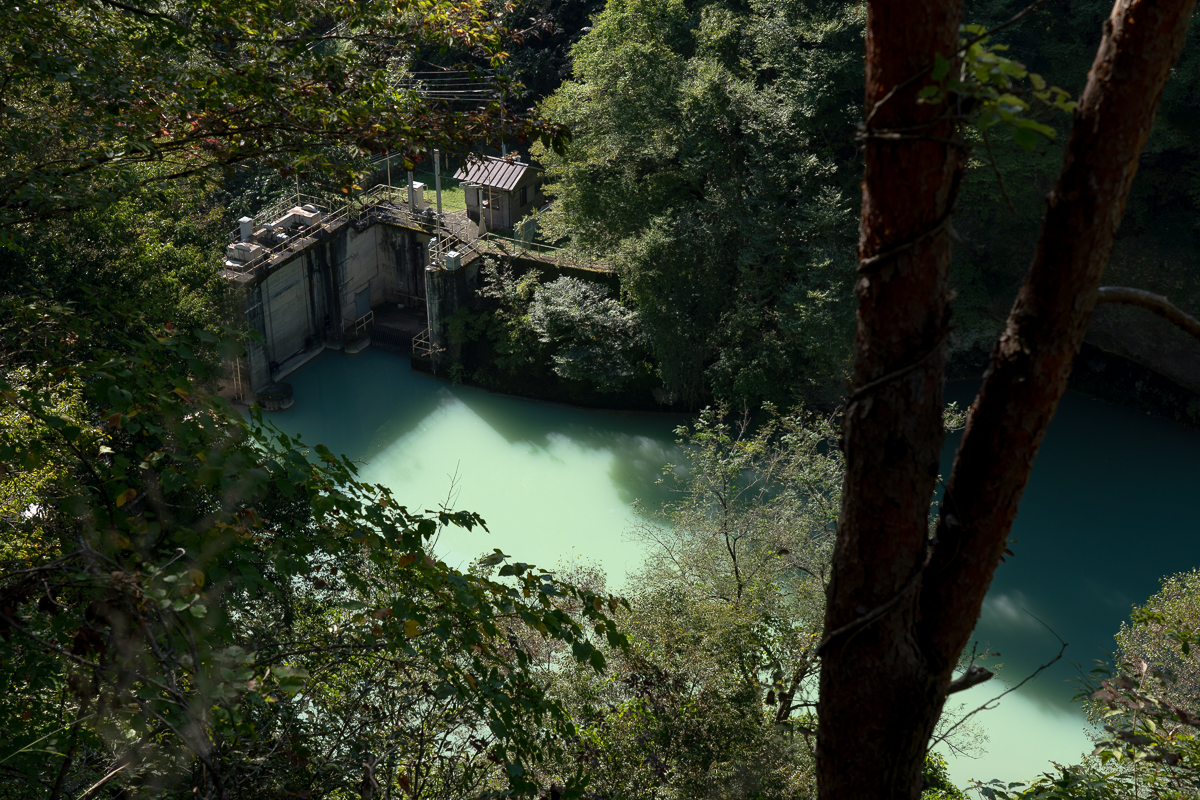 f:id:des_esseintes:20211017173349j:plain