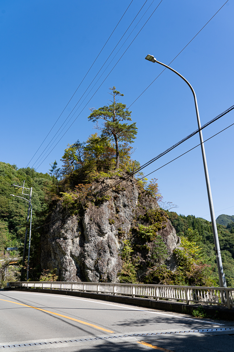 f:id:des_esseintes:20211017173851j:plain