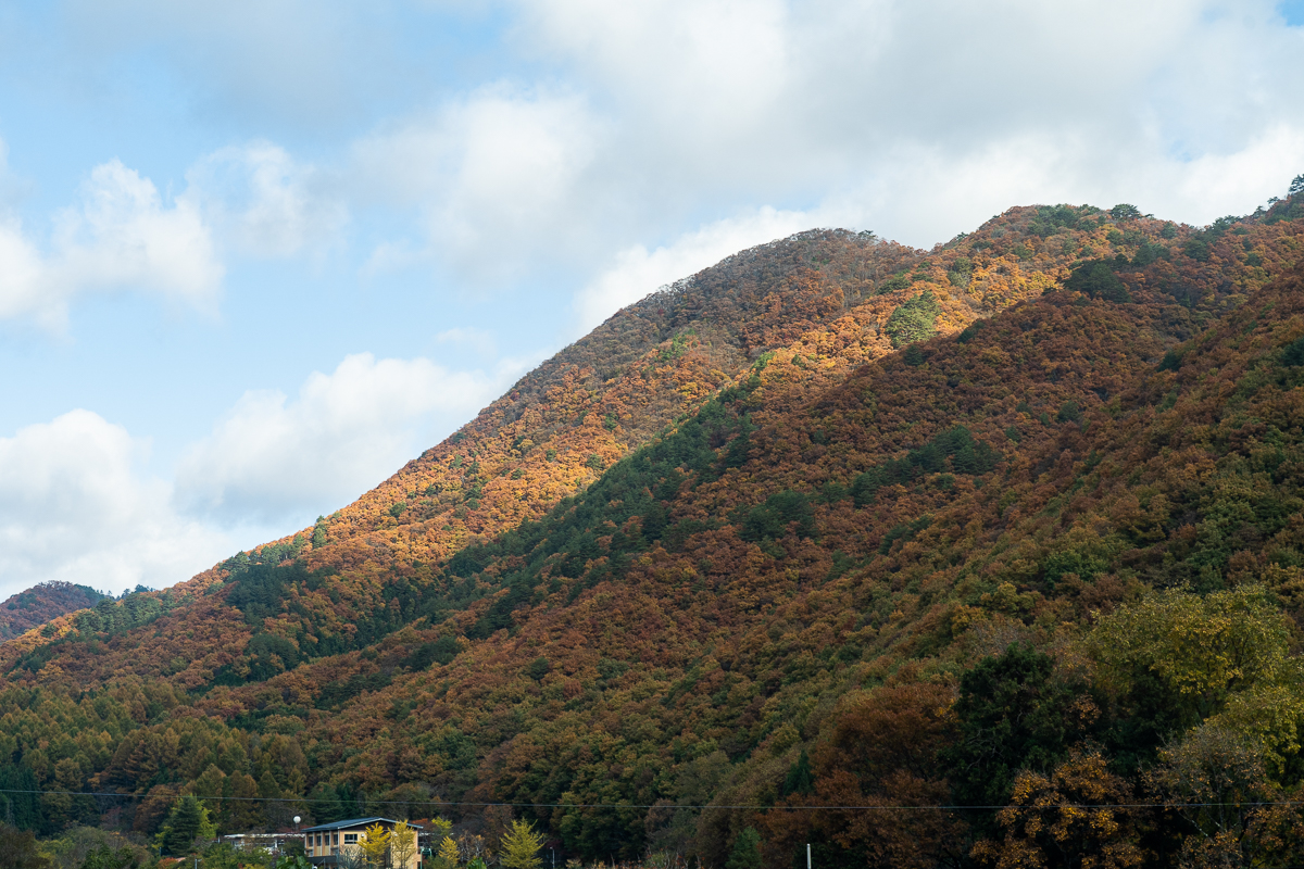 f:id:des_esseintes:20211105231548j:plain