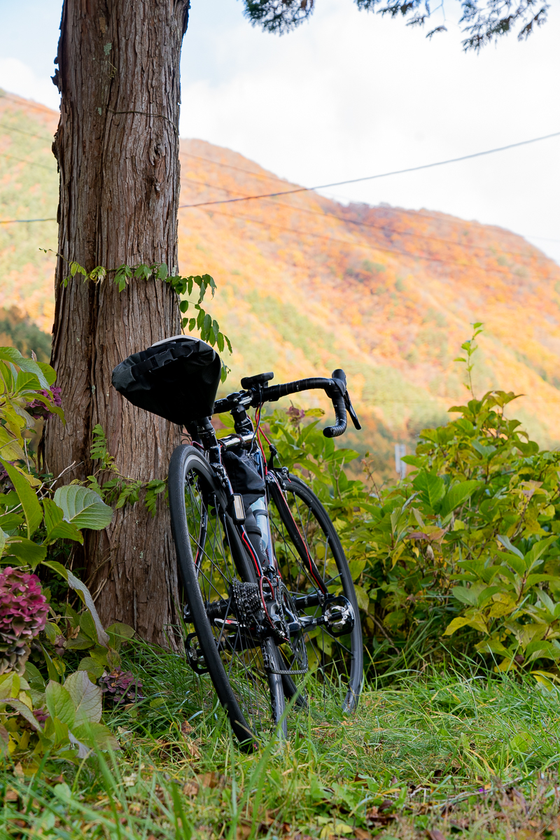 f:id:des_esseintes:20211105231620j:plain