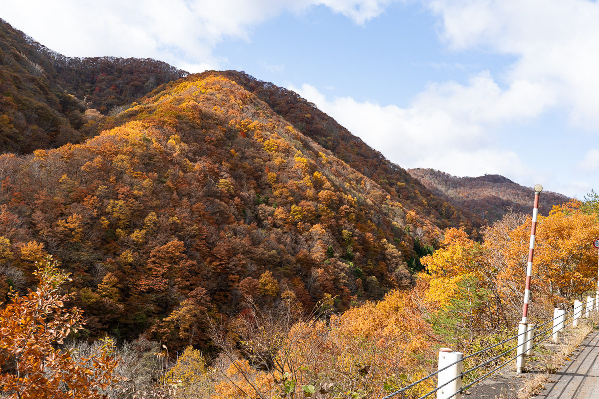 f:id:des_esseintes:20211105231705j:plain