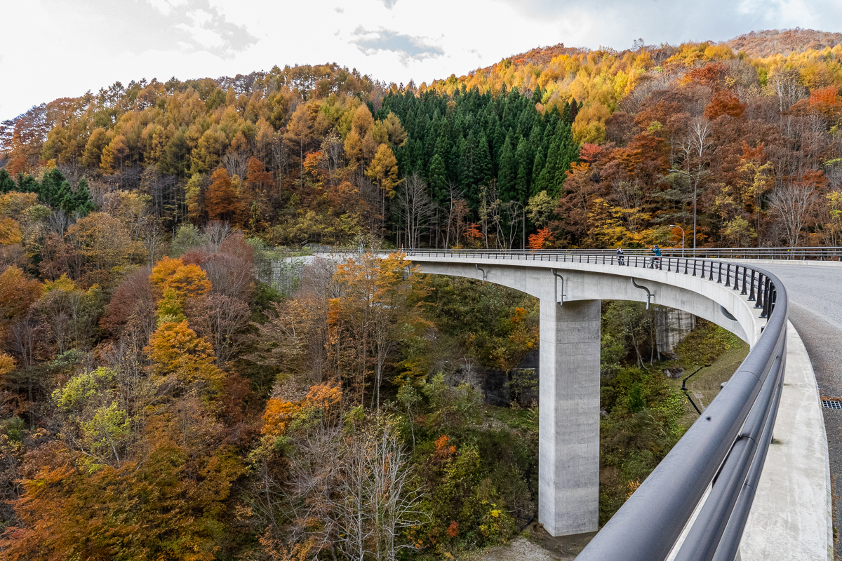 f:id:des_esseintes:20211105231726j:plain