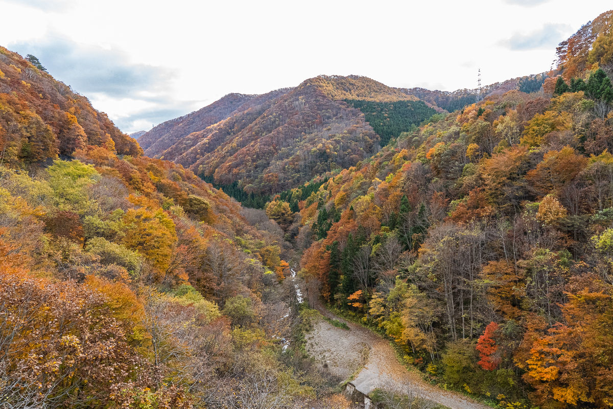 f:id:des_esseintes:20211105231747j:plain