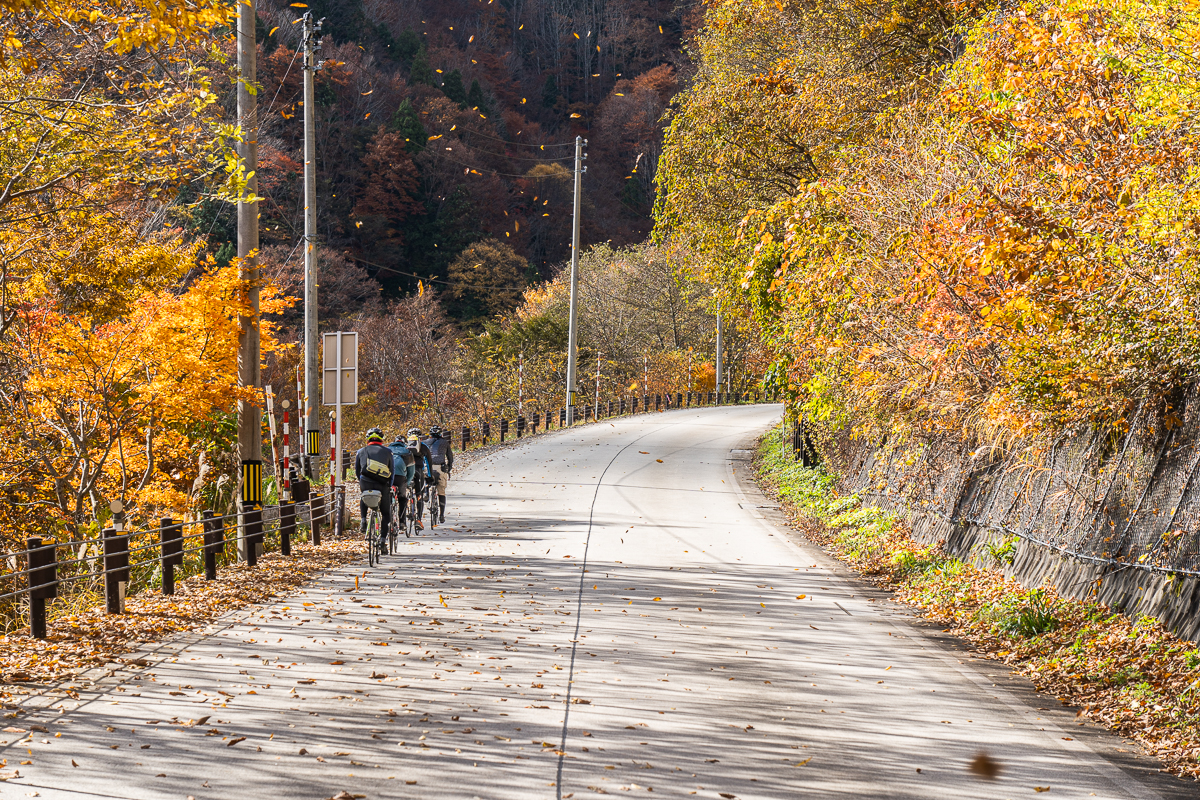 f:id:des_esseintes:20211105231801j:plain