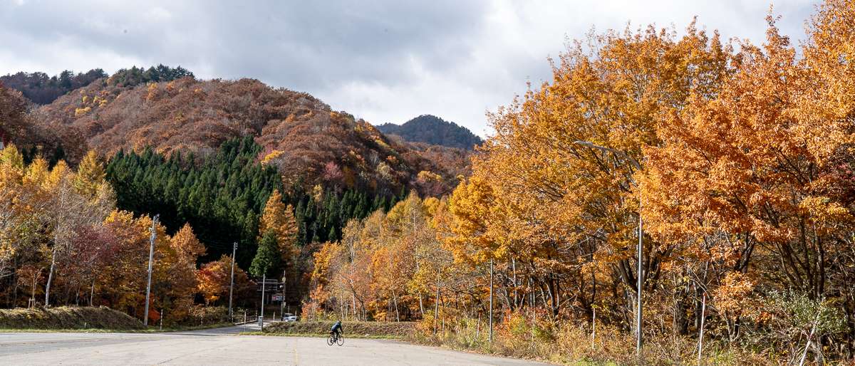 f:id:des_esseintes:20211105231811j:plain