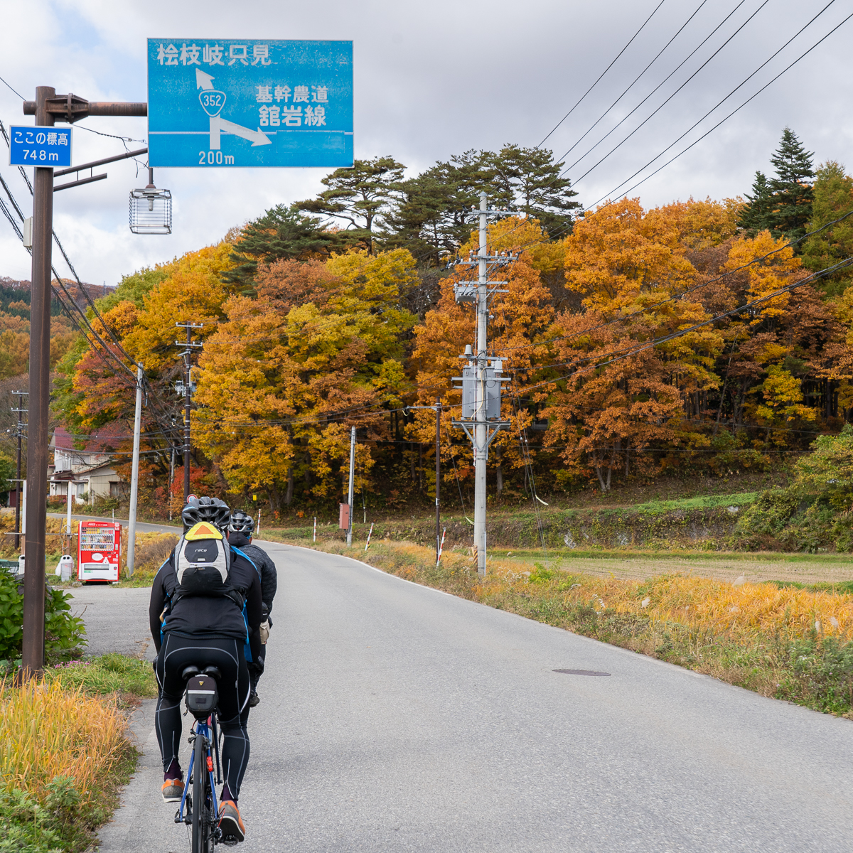 f:id:des_esseintes:20211105231825j:plain