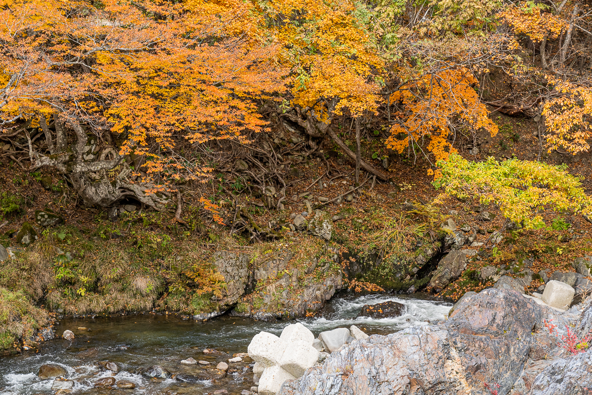 f:id:des_esseintes:20211105231916j:plain