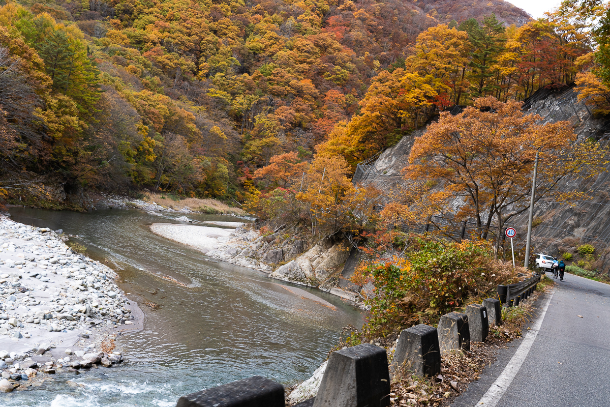 f:id:des_esseintes:20211105231928j:plain