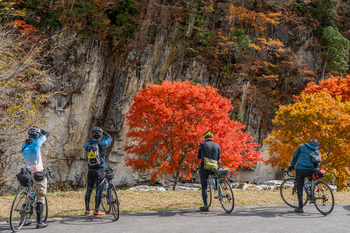 f:id:des_esseintes:20211105231951j:plain