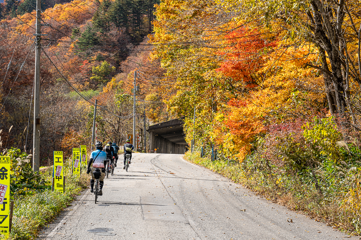 f:id:des_esseintes:20211105232010j:plain