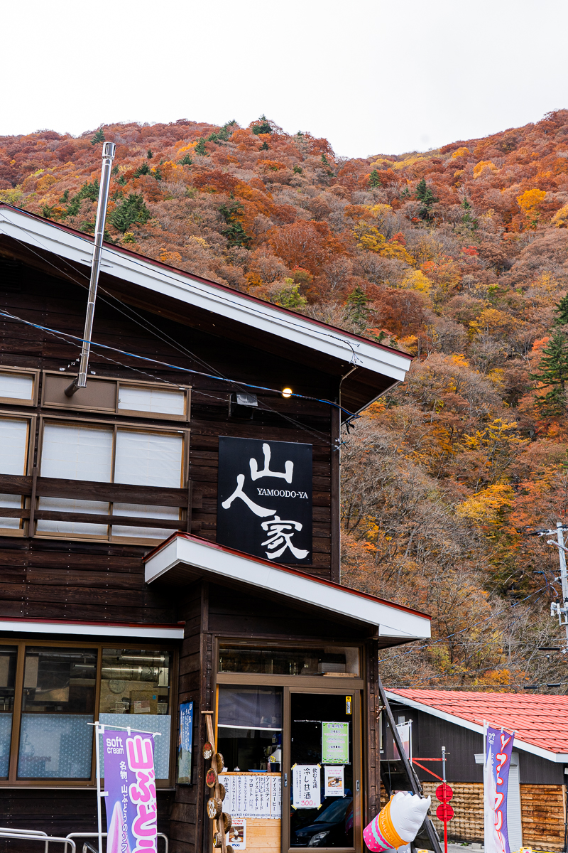 f:id:des_esseintes:20211105232042j:plain