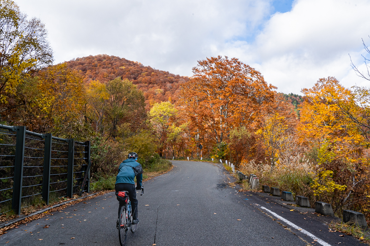 f:id:des_esseintes:20211105232150j:plain