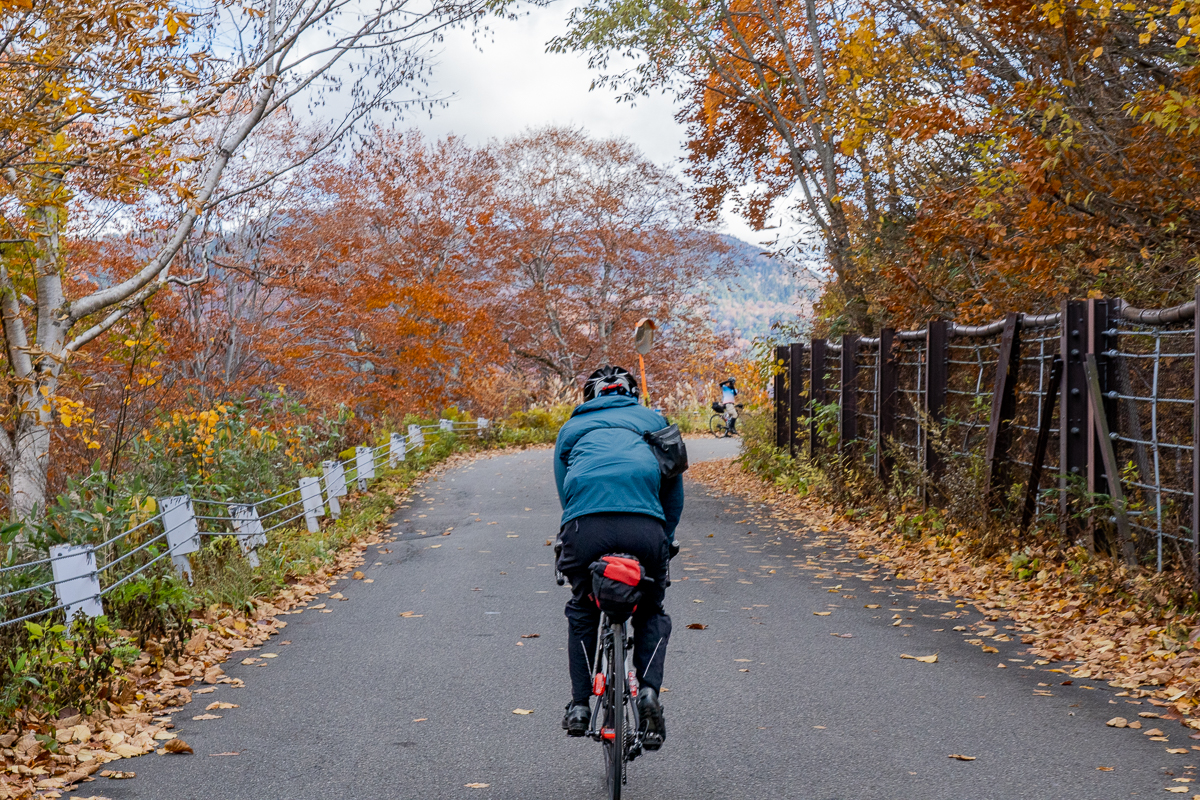 f:id:des_esseintes:20211105232209j:plain