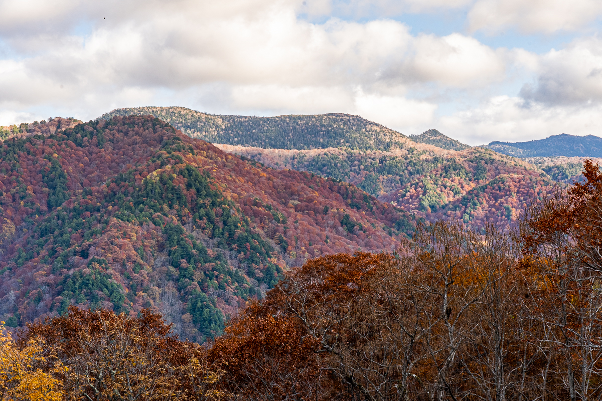 f:id:des_esseintes:20211105232225j:plain