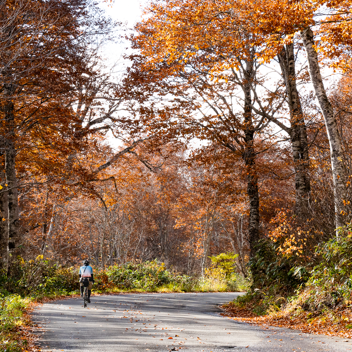 f:id:des_esseintes:20211105232249j:plain