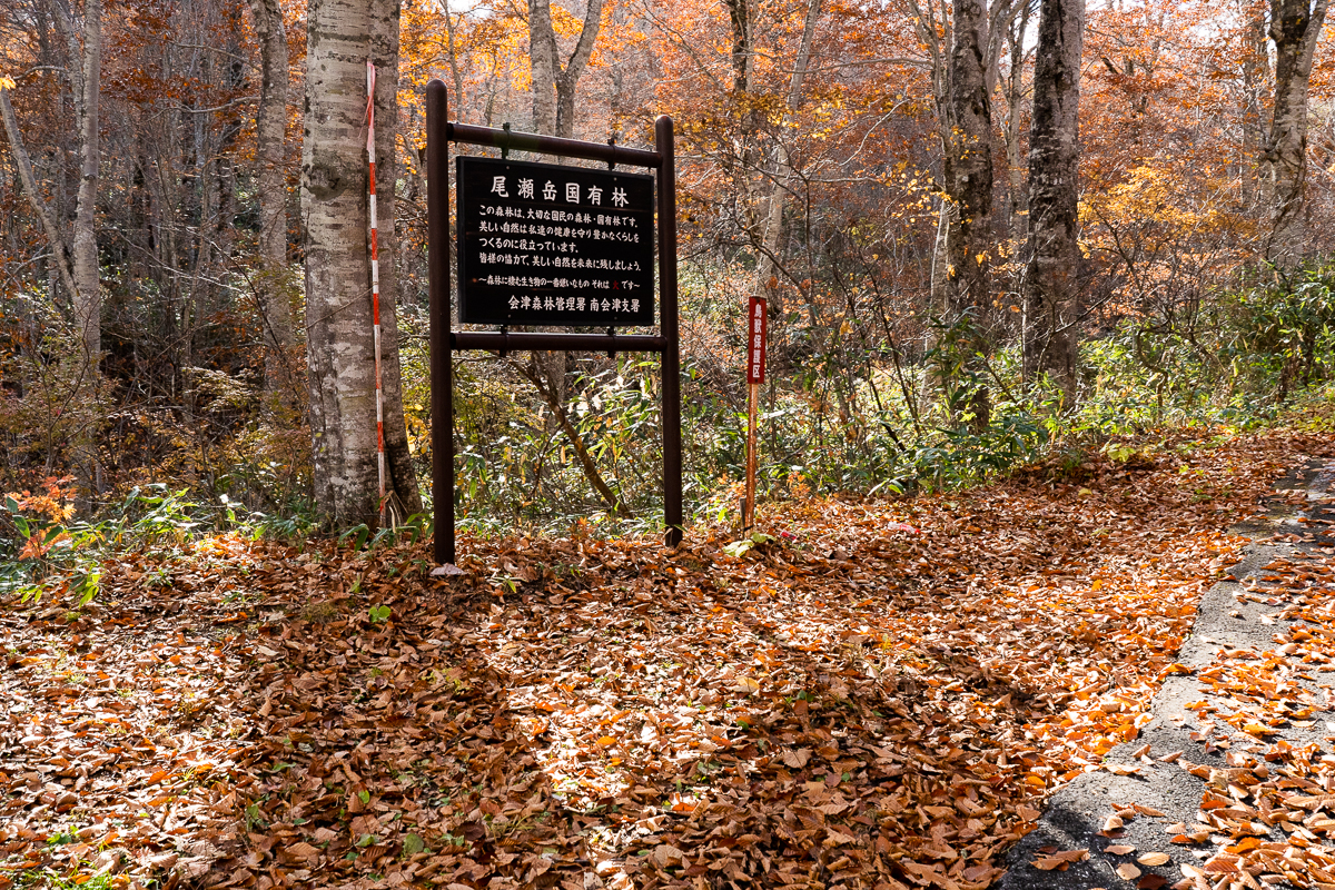 f:id:des_esseintes:20211105232349j:plain