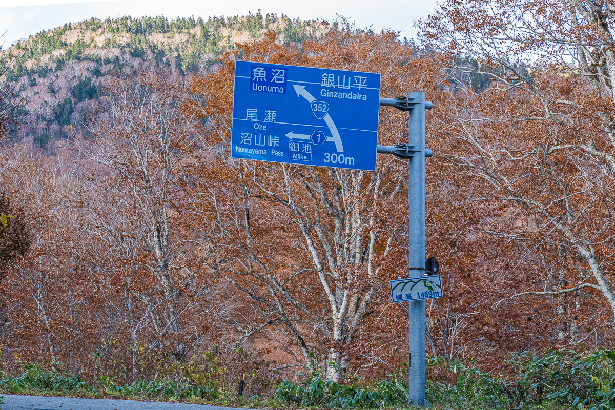 f:id:des_esseintes:20211105232403j:plain