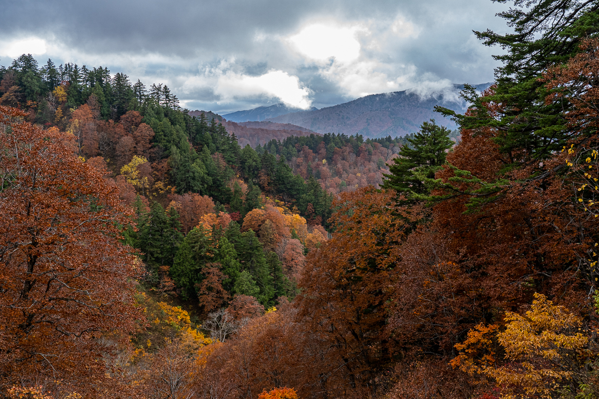 f:id:des_esseintes:20211105233054j:plain