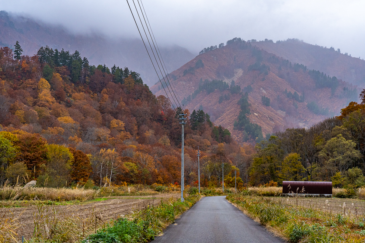 f:id:des_esseintes:20211105233110j:plain