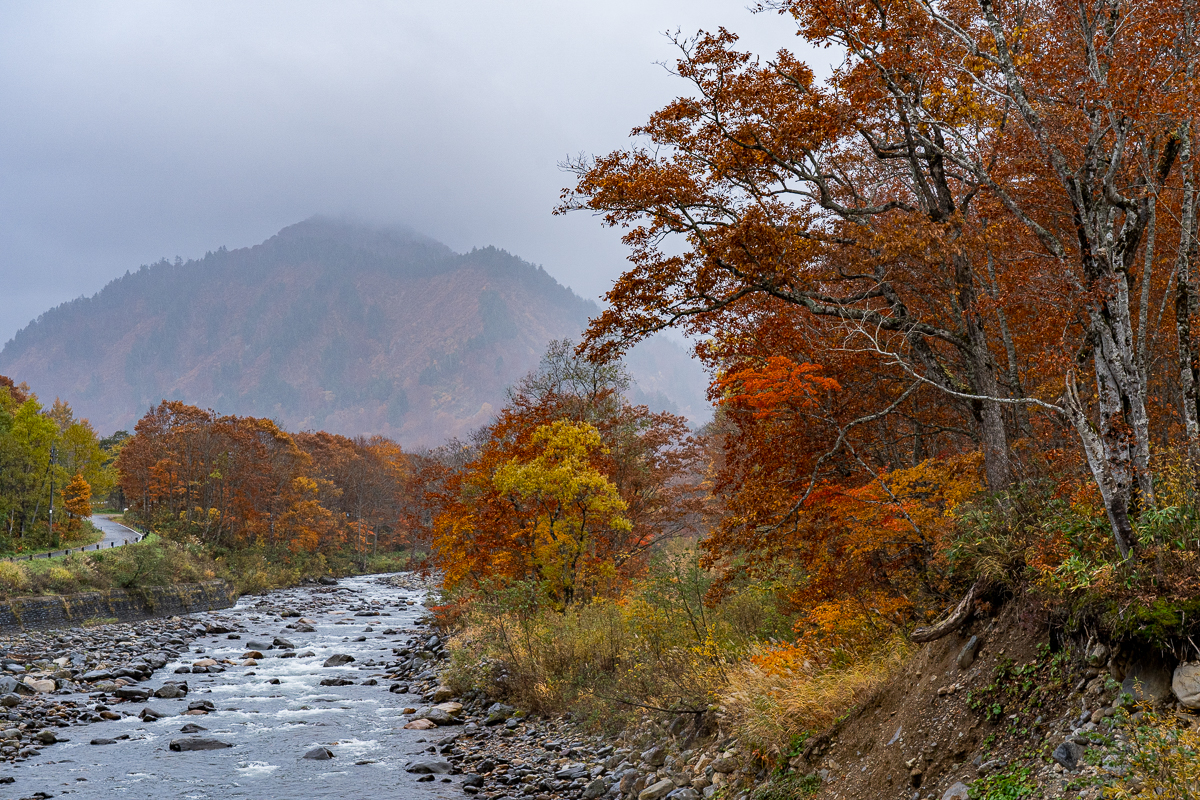 f:id:des_esseintes:20211105233238j:plain