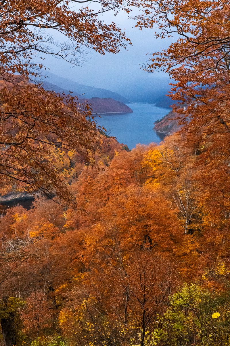 f:id:des_esseintes:20211105233339j:plain