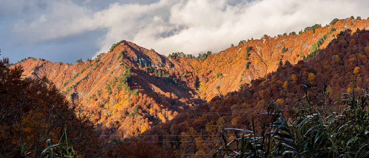 f:id:des_esseintes:20211105233356j:plain