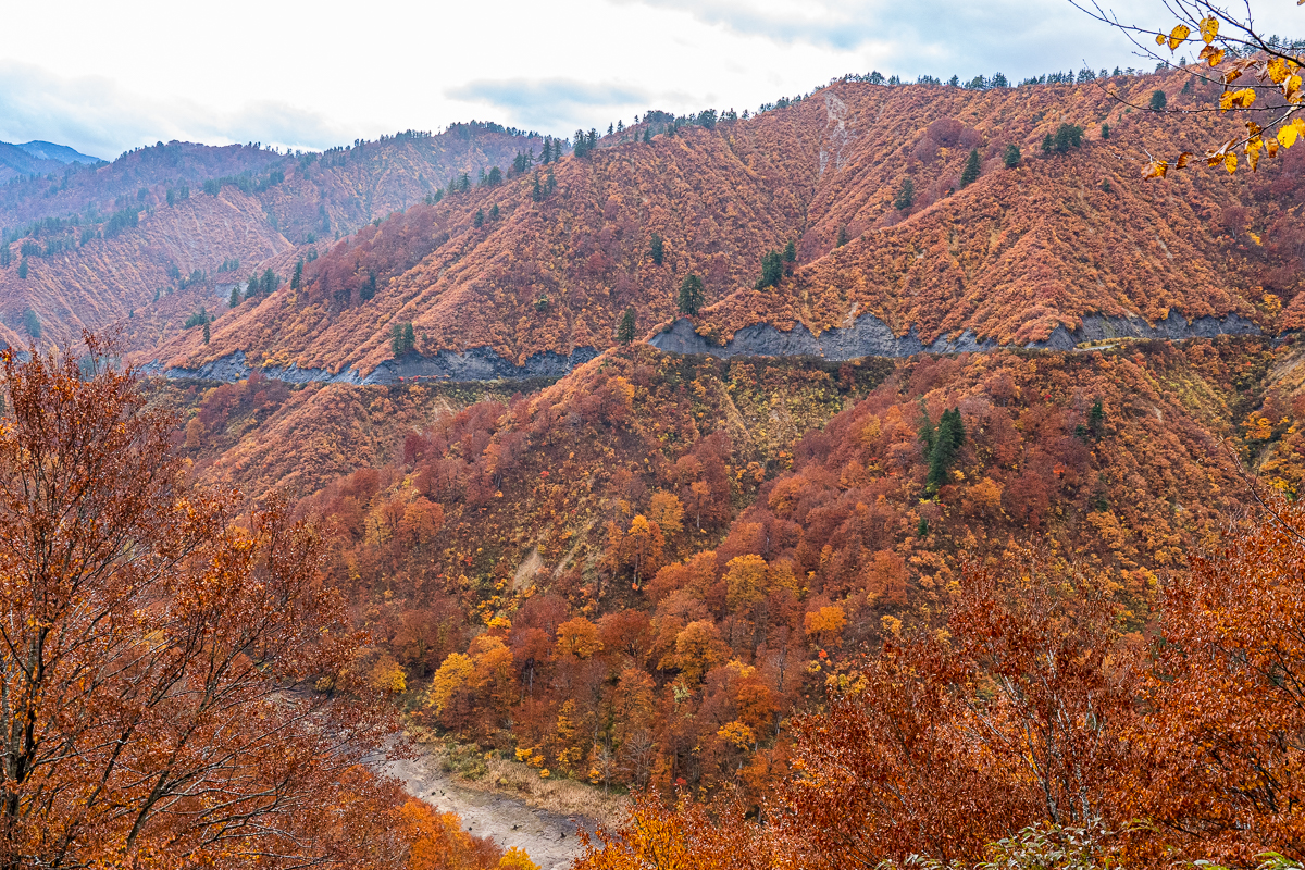 f:id:des_esseintes:20211105233413j:plain