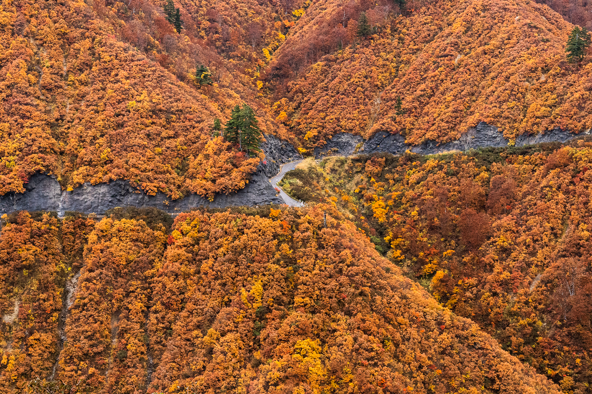 f:id:des_esseintes:20211105233457j:plain