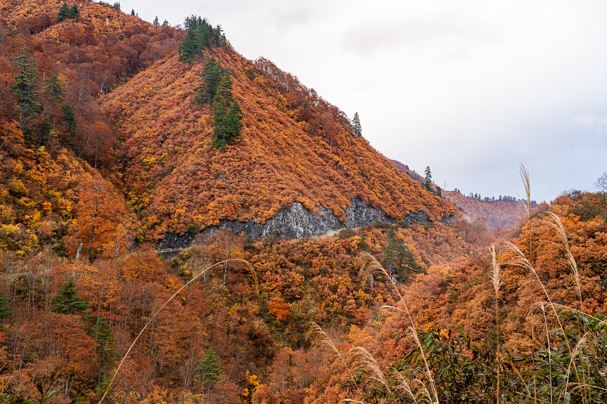 f:id:des_esseintes:20211105233520j:plain