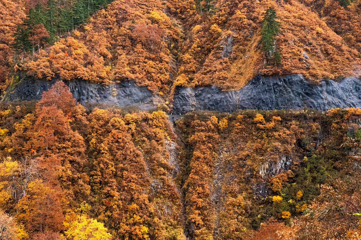 f:id:des_esseintes:20211105233605j:plain