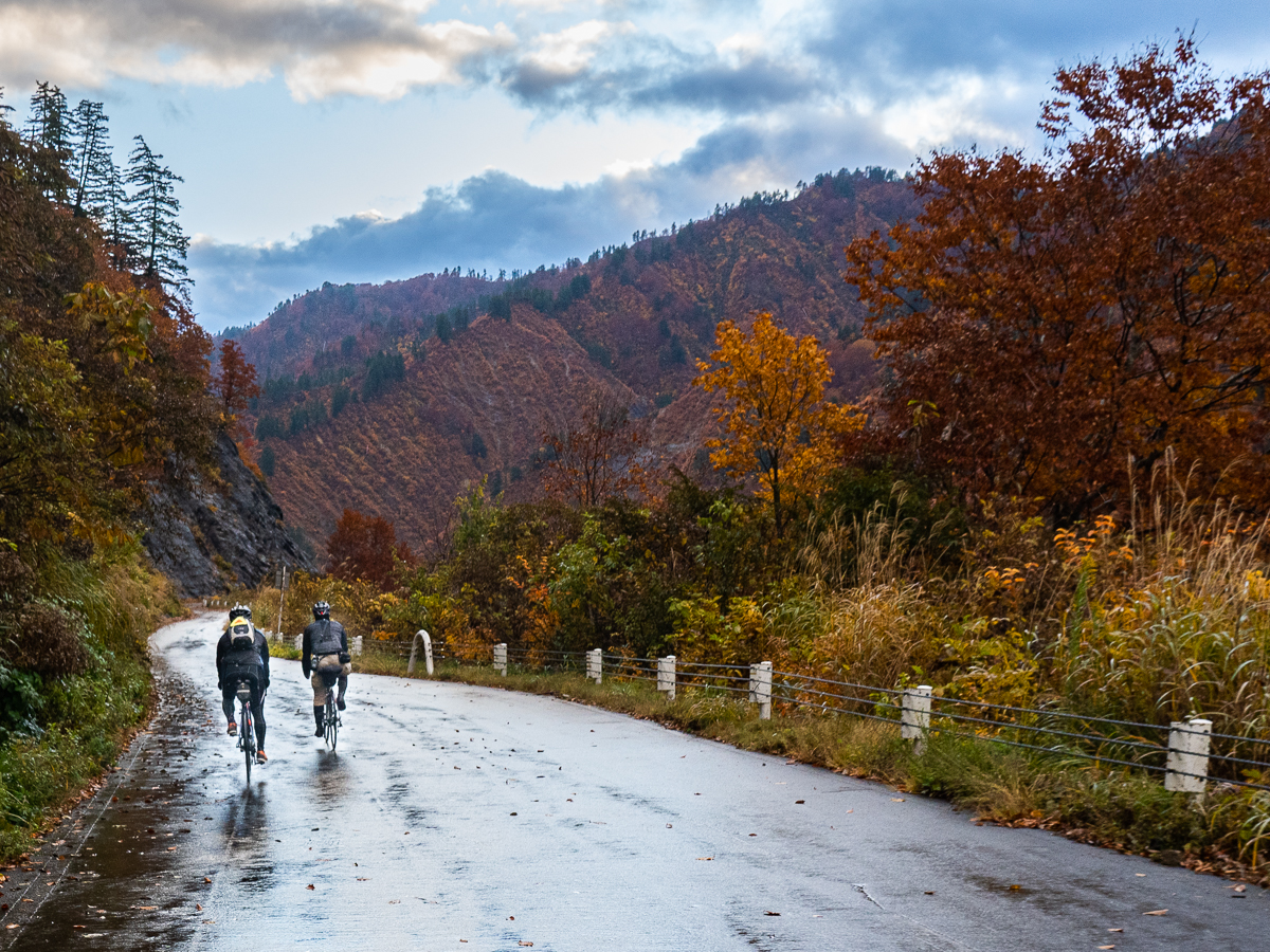 f:id:des_esseintes:20211107161507j:plain