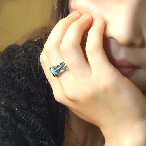 f:id:desertrose2001:20060128012730j:plain