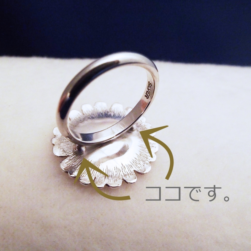 f:id:desertrose2001:20150126201316j:plain