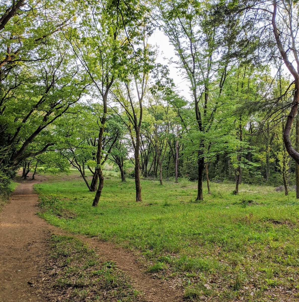 山道散歩