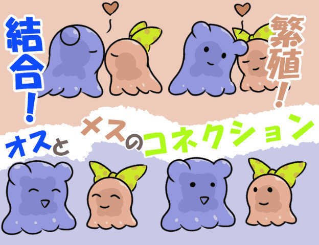f:id:destor1899:20191221082157j:plain f:id:destor1899:20191221082157j:plain