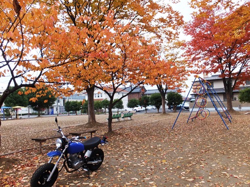 DSCF2831.jpg
