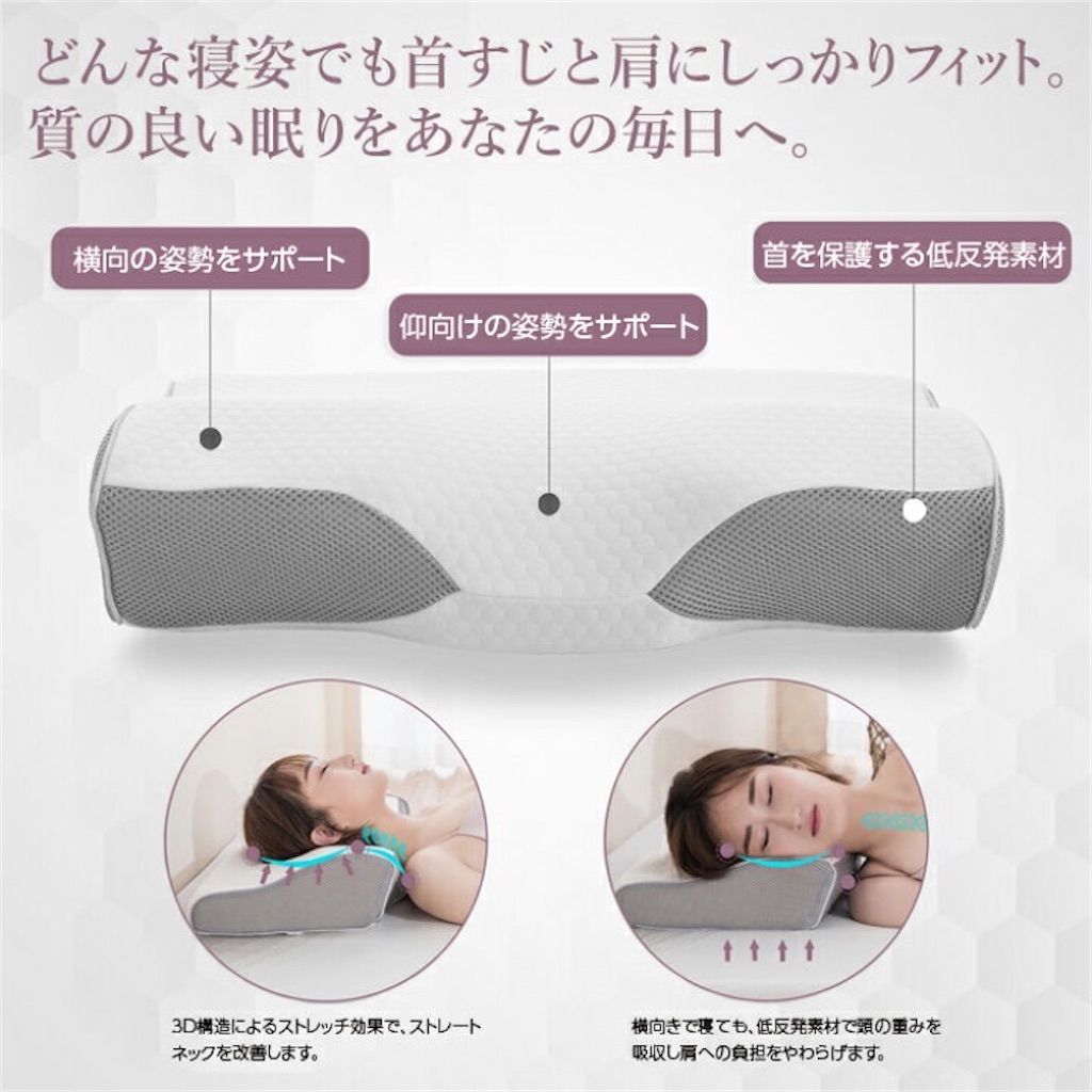 f:id:desutoroihonda:20201103213521j:image