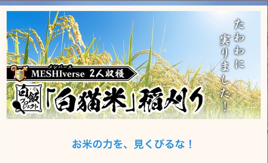 f:id:desutoroihonda:20220401130946j:image f:id:desutoroihonda:20220401130946j:image