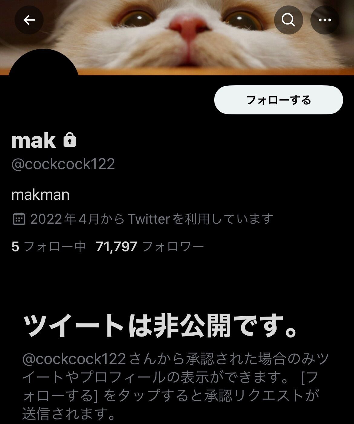 f:id:desutoroihonda:20230409193604j:image