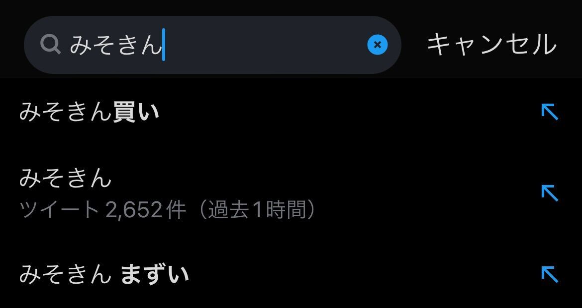 f:id:desutoroihonda:20230509192703j:image