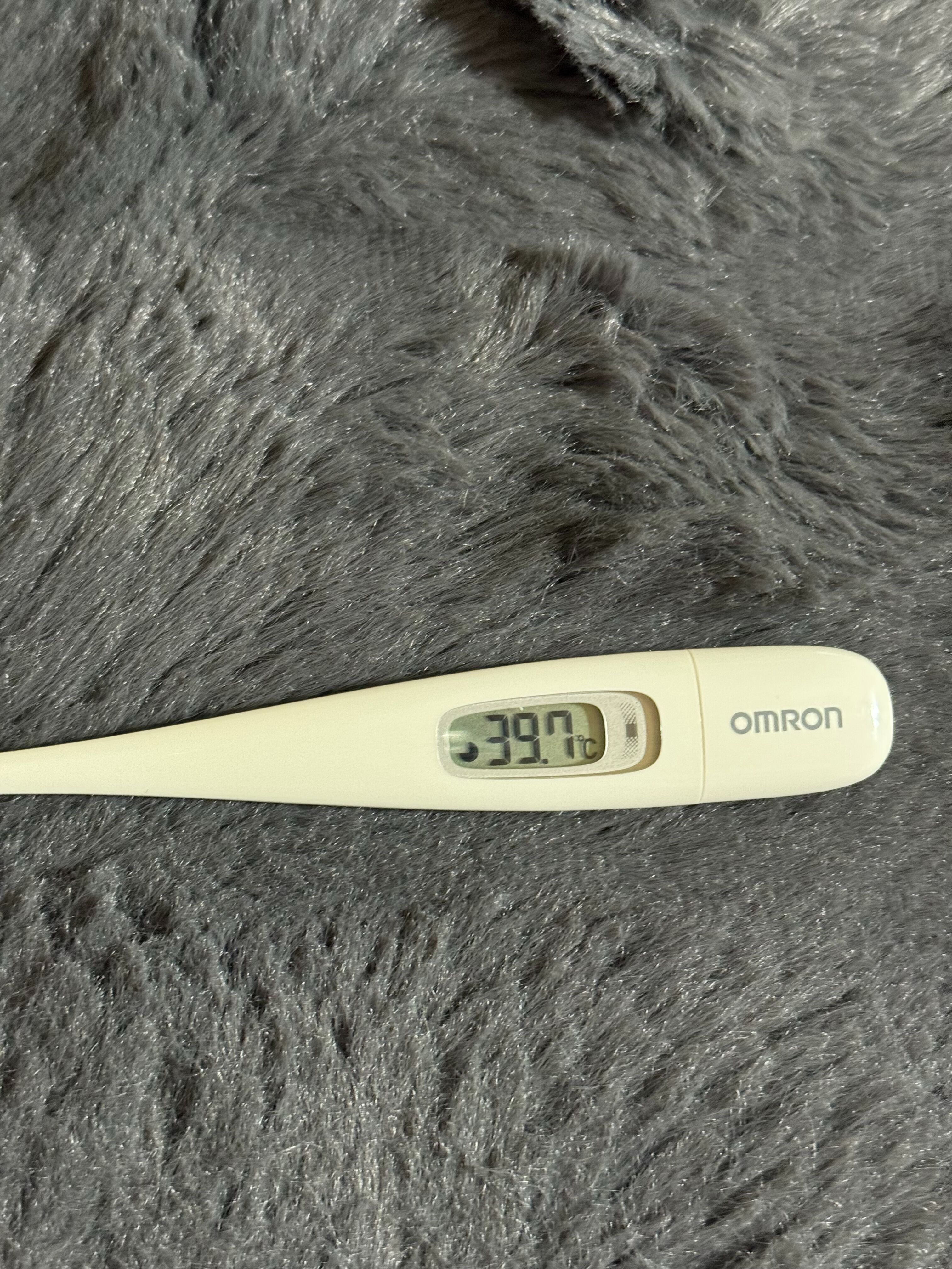 f:id:desutoroihonda:20251130162948j:image f:id:desutoroihonda:20251130162948j:image