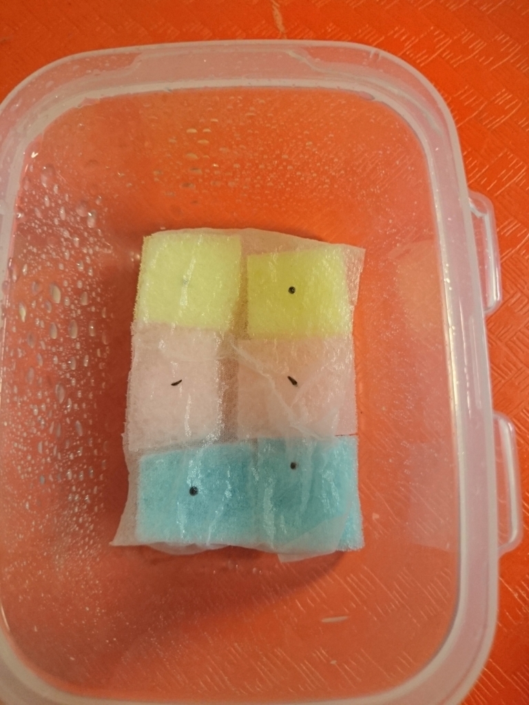 f:id:detailstan:20180807194930j:plain f:id:detailstan:20180807194930j:plain