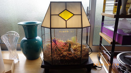 ステンドグラス　テラリウム