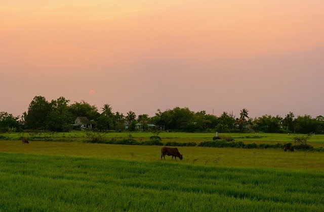 ステンドグラス　ふるさと納税