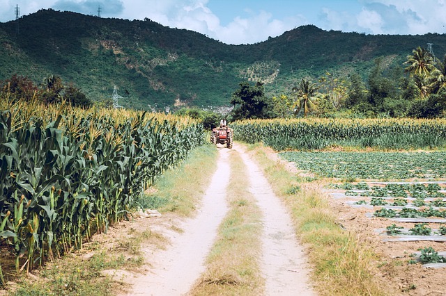 ステンドグラス　ふるさと納税