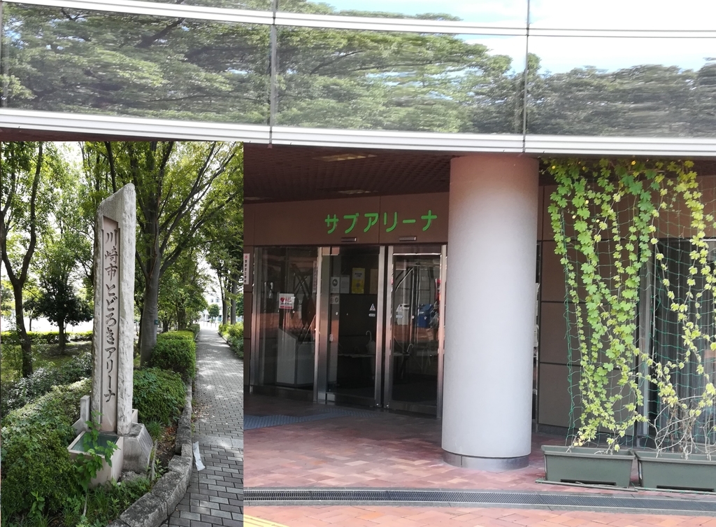 月会費不要 料金400円以下で使えるおすすめフィットネスジム 神奈川県の公共施設 川崎市とどろきアリーナ ワンコイントレーニング ワンコイントレーニング Onecoin Training 月会費不要 料金400円以下で使えるおすすめフィットネスジム 神奈川県の公共施設 川崎市とどろきアリーナ ワンコイントレーニング ワンコイントレーニング Onecoin Training