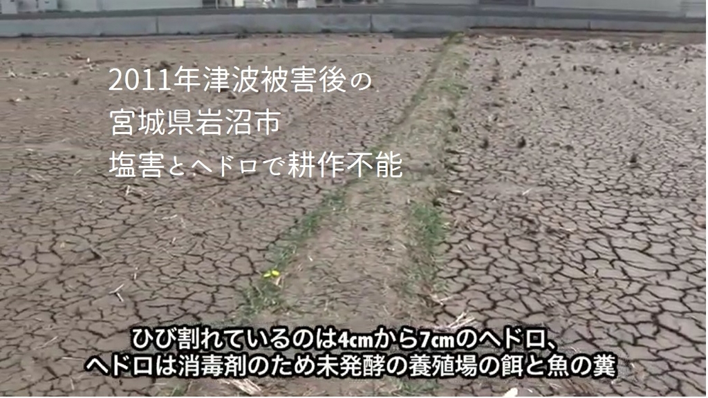 f:id:detox-advisor:20190130121118j:plain f:id:detox-advisor:20190130121118j:plain