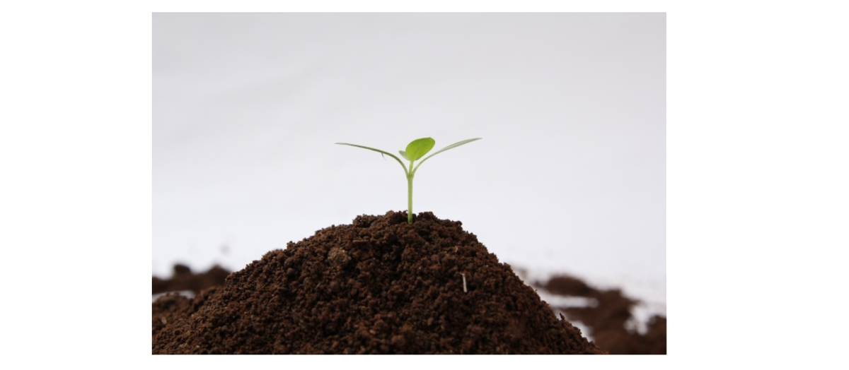 f:id:detox-advisor:20190408130831p:plain