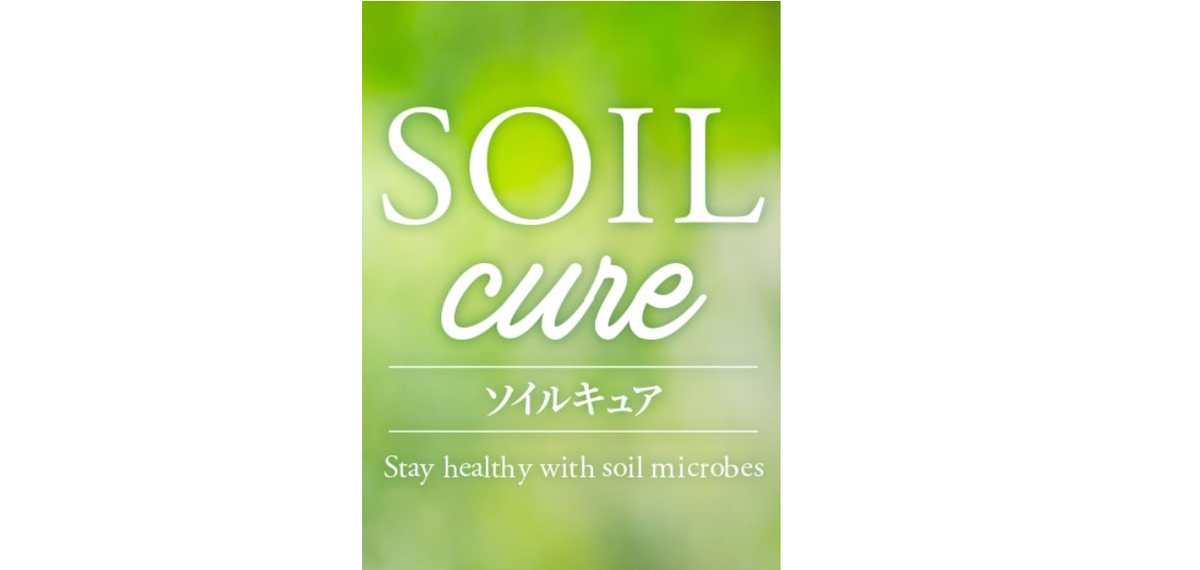 f:id:detox-advisor:20190408131407p:plain f:id:detox-advisor:20190408131407p:plain